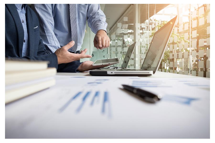 Specialized consulting team at work